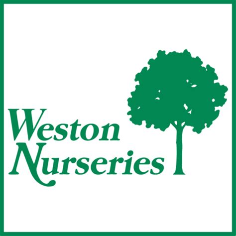 Weston nursery - Measure the height of the root ball of your new plant, from the bottom of the roots to the “flare” of the trunk, where it meets the soil. Dig a hole twice as wide and no deeper than the height of the root ball of the plant. CONTAINER PLANTS (Fig. 1): Carefully remove the container and loosen the roots with your fingers or a cultivator.